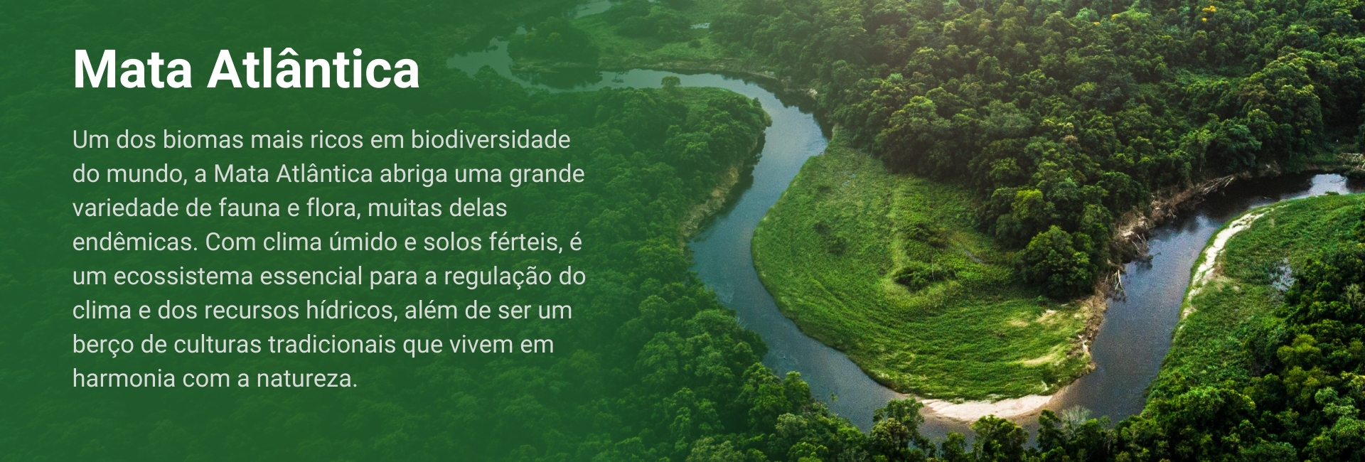 mata_atlantica