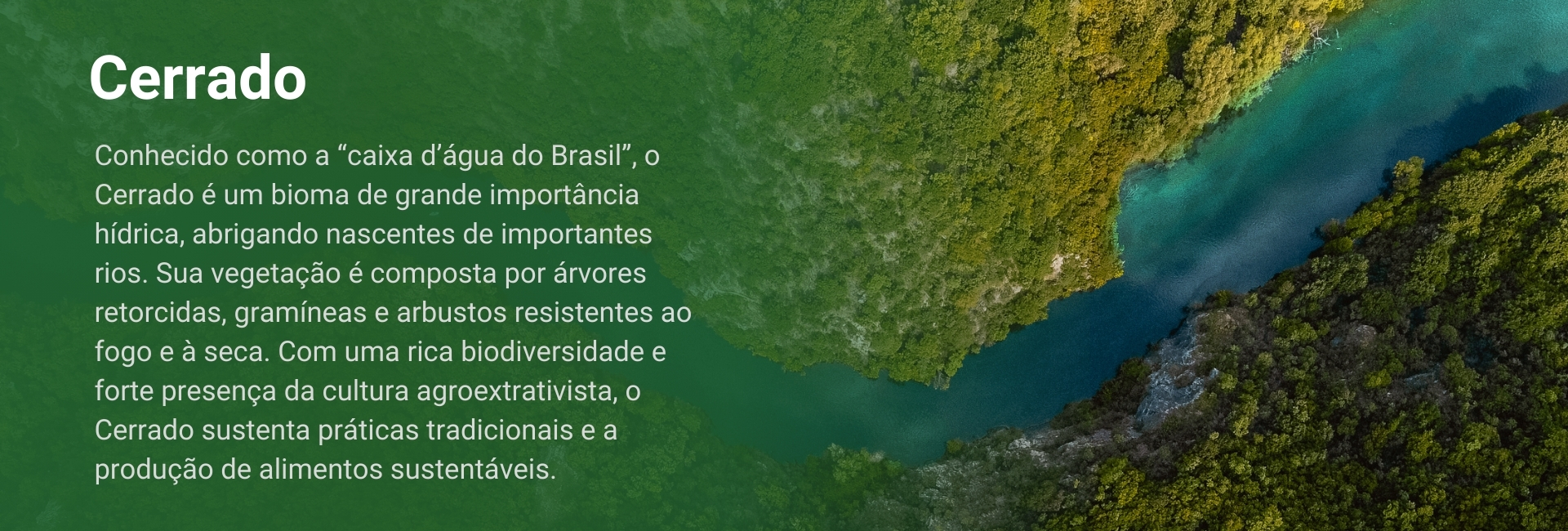 cerrado